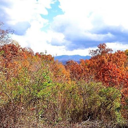 Burnin' Love Gatlinburg Exterior foto