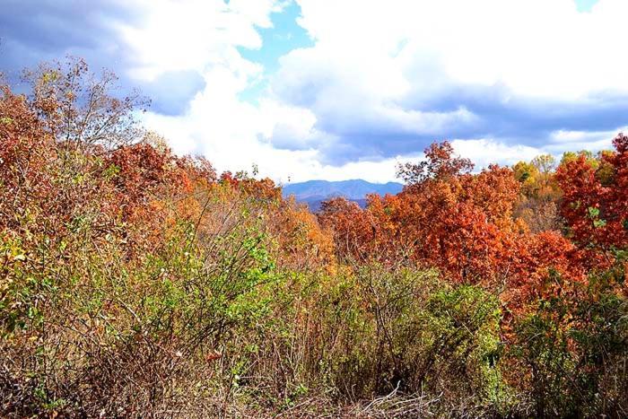 Burnin' Love Gatlinburg Exterior foto