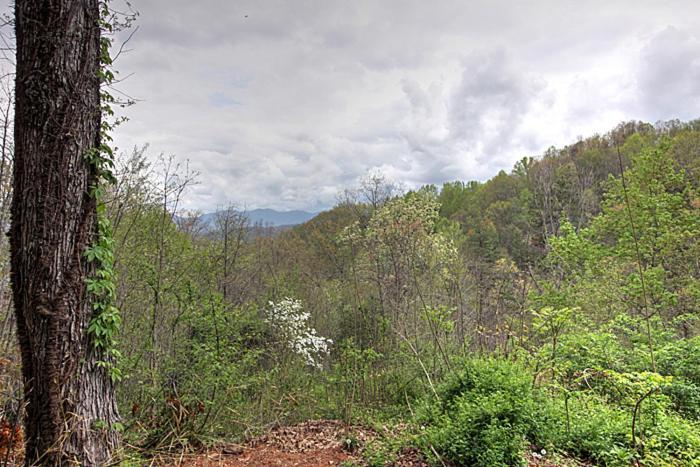 Burnin' Love Gatlinburg Exterior foto